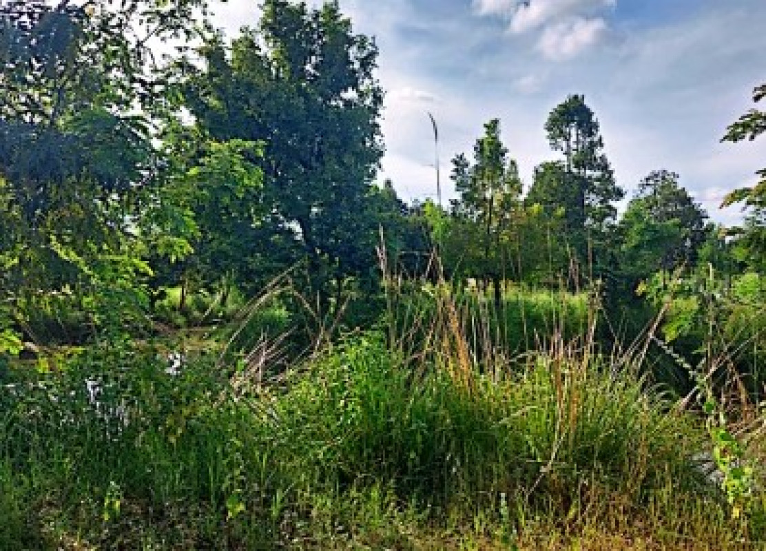 ที่ดินเปล่า กาฬสินธุ์ นามน นามน 293600