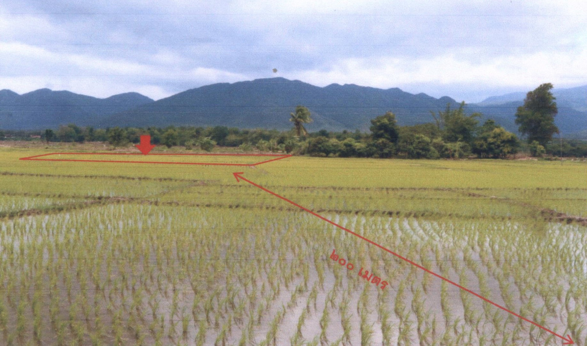 ที่ดินเปล่า เชียงใหม่ จอมทอง บ้านแปะ 94500