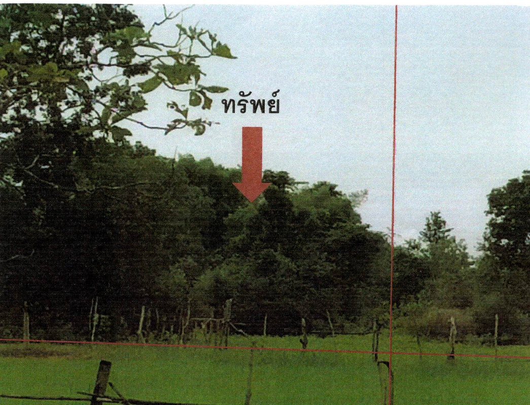 Residential land/lot Lampang Thoen Lom Raet 386550