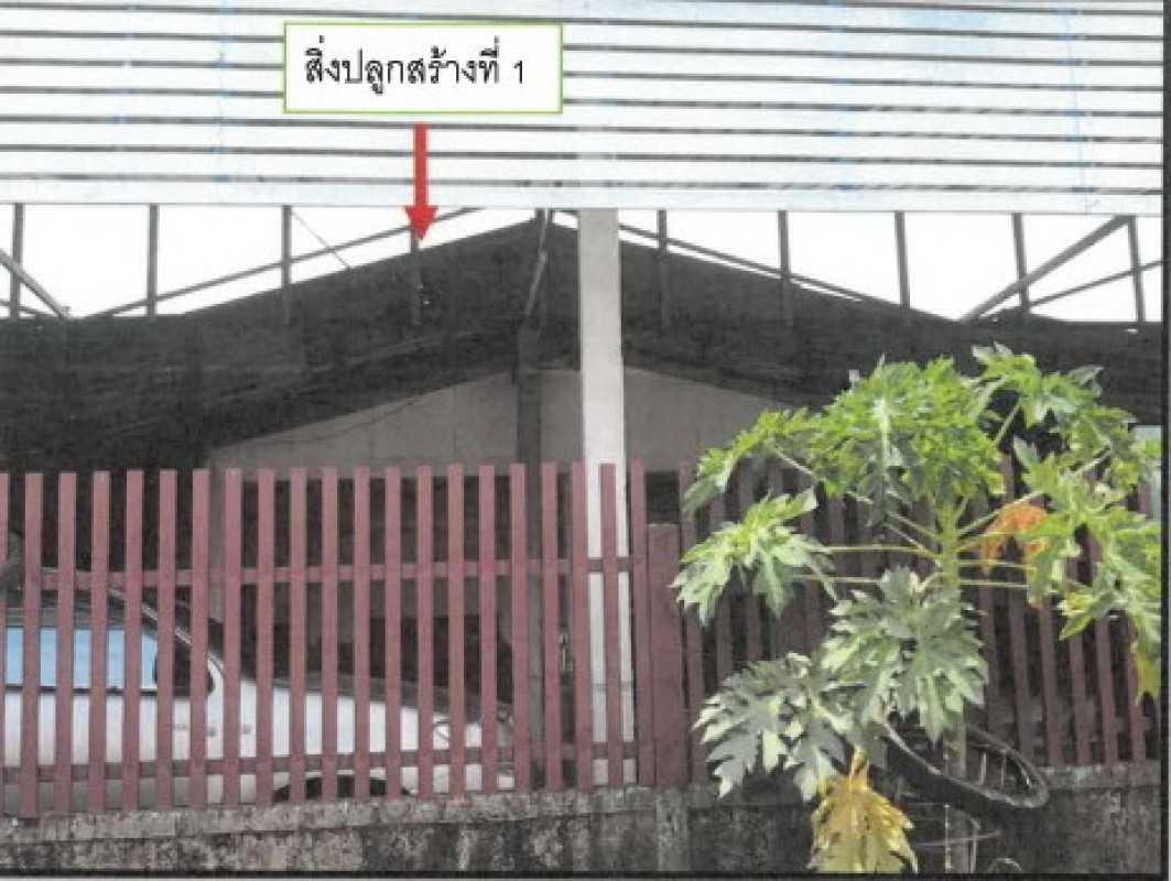 บ้านเดี่ยว กาฬสินธุ์ ยางตลาด หนองตอกแป้น 245230