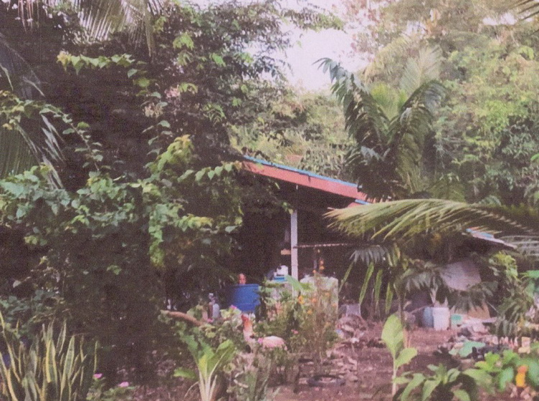 บ้านเดี่ยว ชุมพร เมืองชุมพร ตากแดด 993243