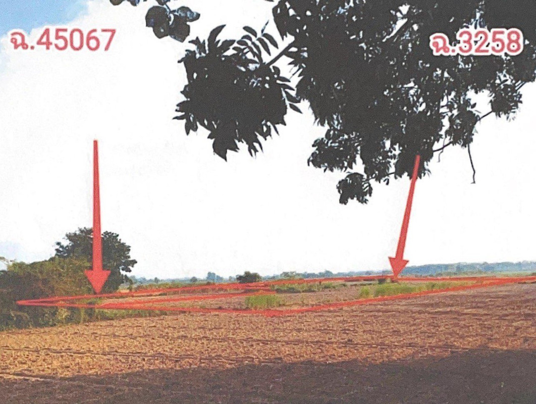 ที่ดินเปล่า สุโขทัย ศรีสำโรง เกาะตาเลี้ยง 82290