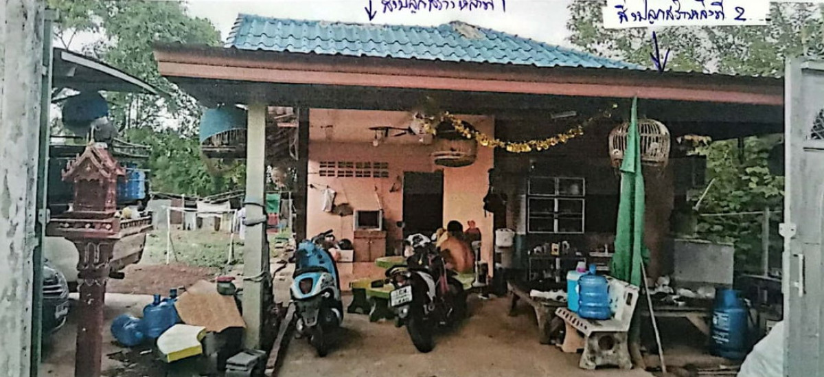 Single house Phetchabun Nong Phai Nong Phai 761490