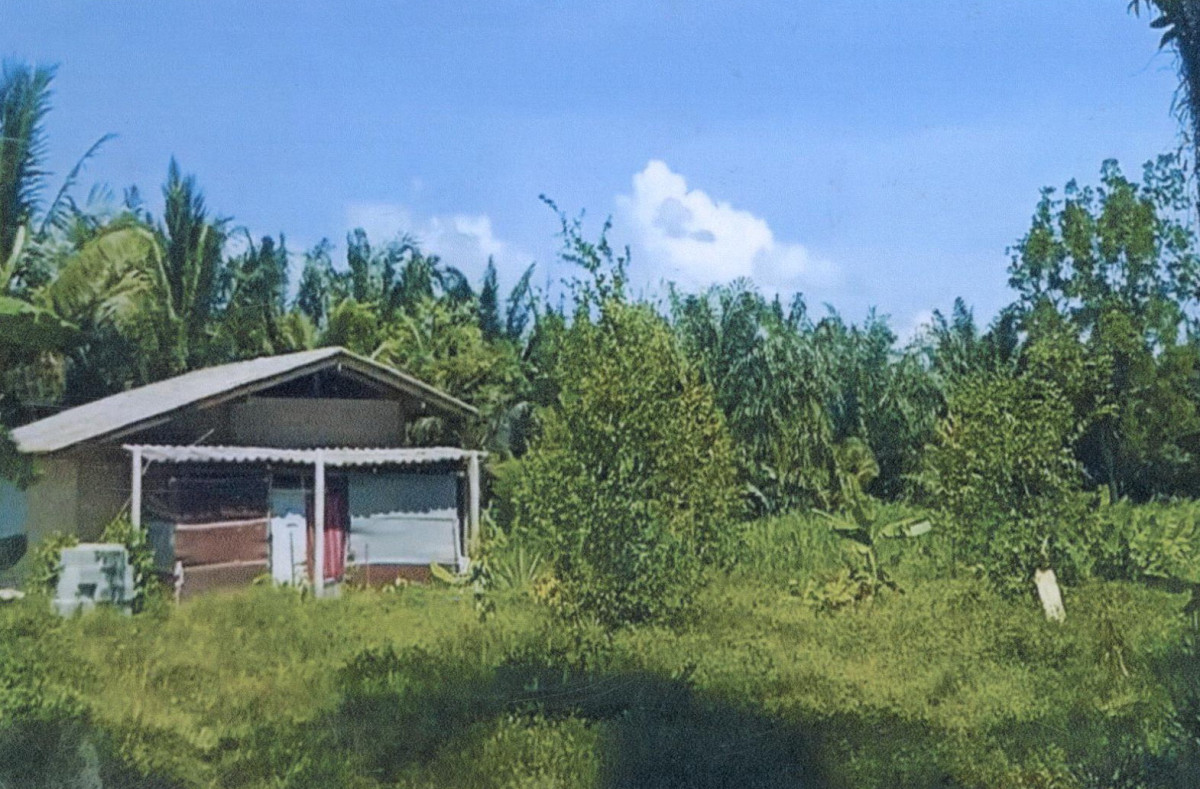 Single house Chumphon Lang Suan Na Phaya 874320