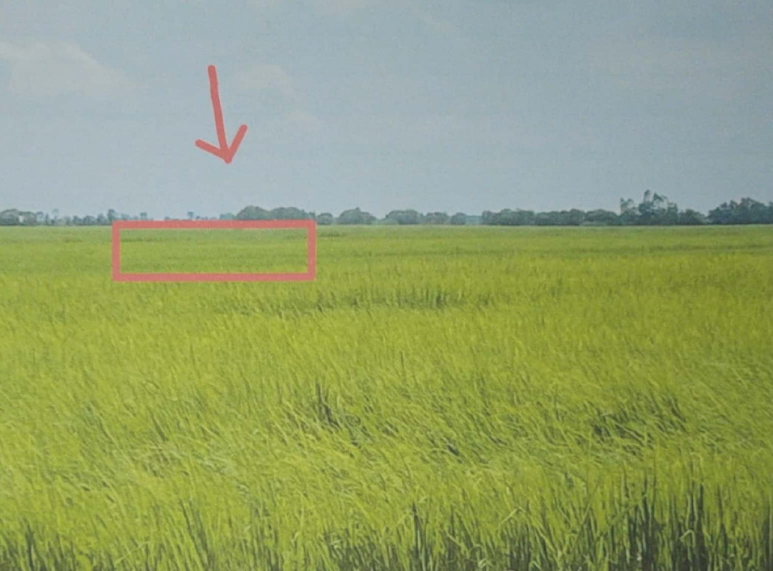 Residential land/lot Nakhon Nayok Pak Phli Tha Ruea 695625