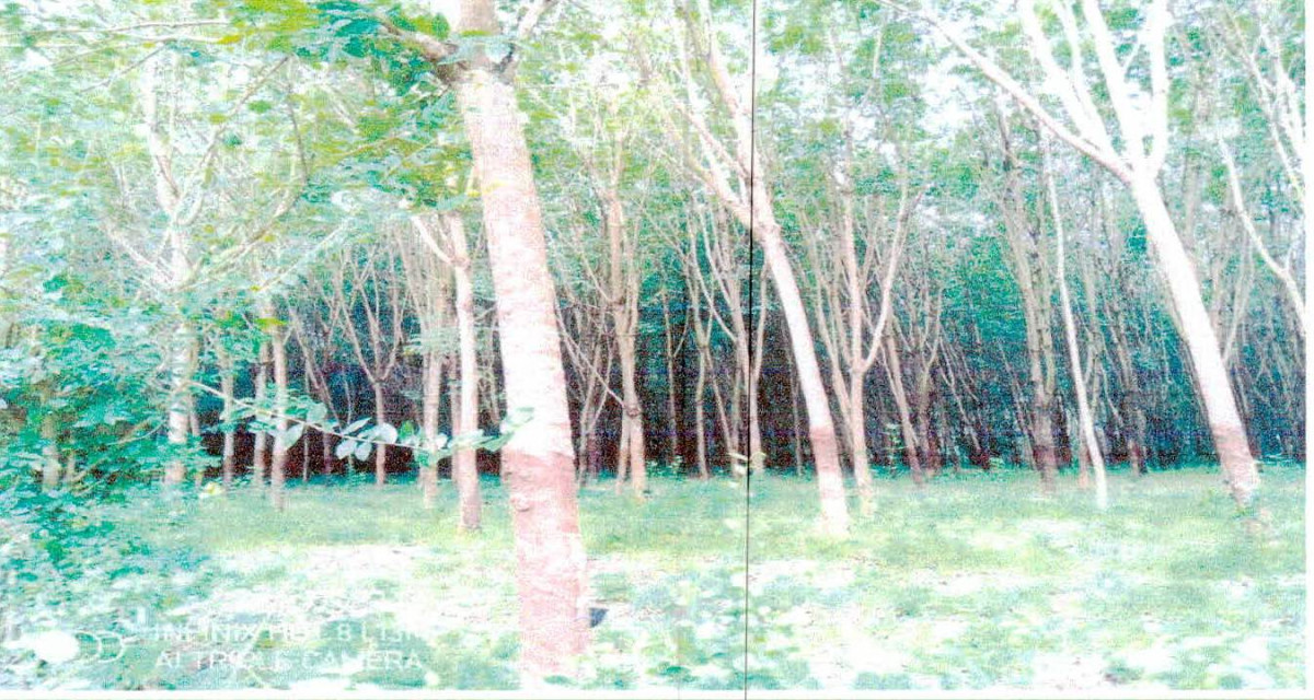 บ้านเดี่ยว อุบลราชธานี เมืองอุบลราชธานี กุดลาด 188800