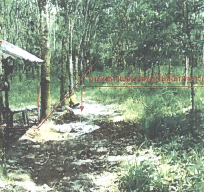 Residential land/lot Songkhla Thepha Lam Phli 1357650