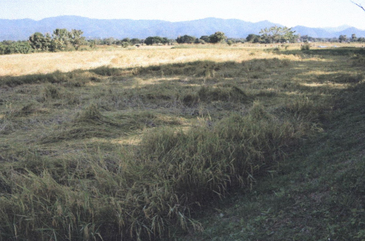 Residential land/lot Lampang Thoen Lom Raet 133920