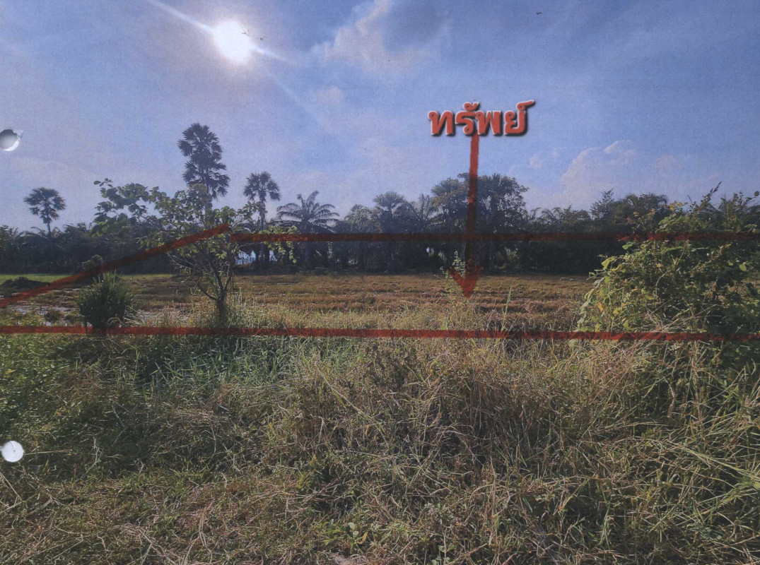 ที่ดินเปล่า เพชรบุรี บ้านลาด สะพานไกร 484000