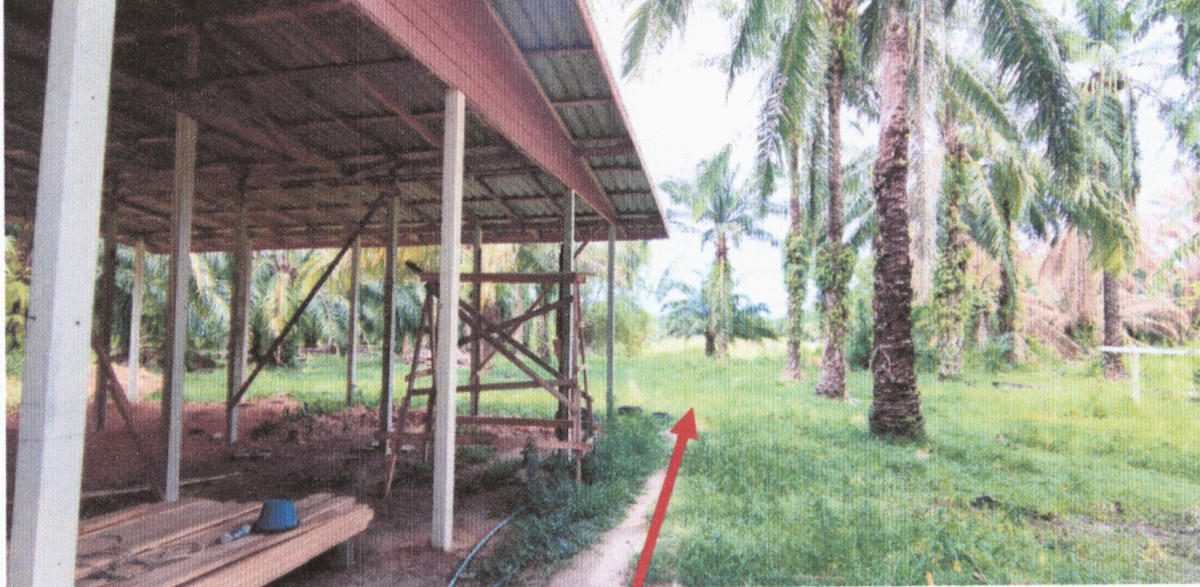 Residential land/lot Chumphon Lamae Lamae 94740