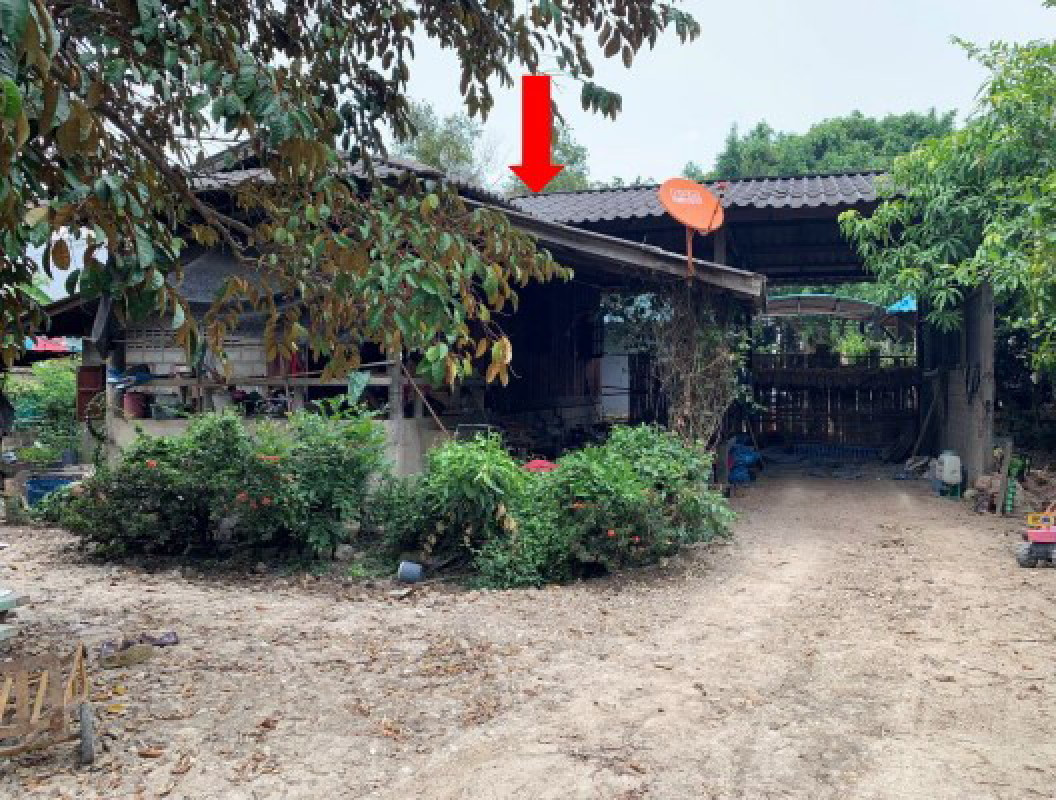 บ้านเดี่ยว เชียงใหม่ ฝาง แม่งอน 581748