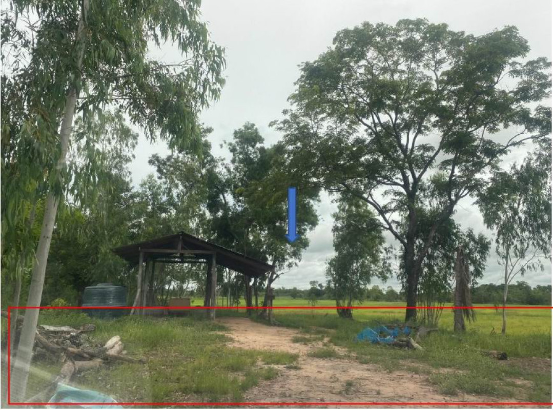บ้านเดี่ยว อุบลราชธานี เขื่องใน ยางขี้นก 66765