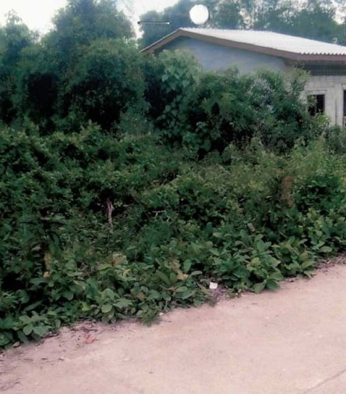 Residential land/lot Narathiwat Su-ngai Kolok Pa Semat 674920