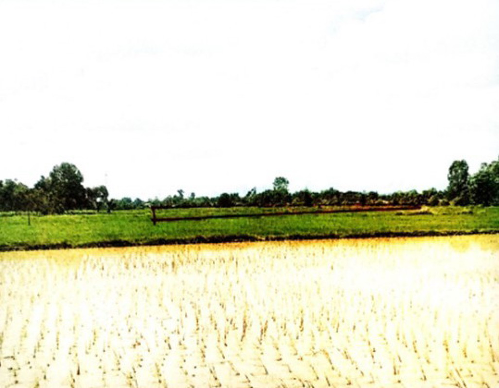 ที่ดินเปล่า นครพนม เมืองนครพนม อาจสามารถ 126600