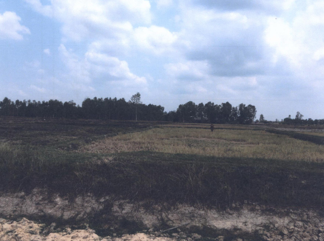 ที่ดินเปล่า อุบลราชธานี เมืองอุบลราชธานี หนองบ่อ 427440