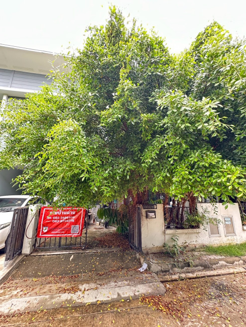 Townhouse Samut Prakan Bang Phli Bang Phli Yai 2100000