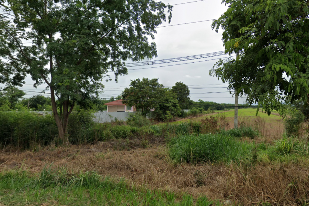 ที่ดินเปล่า เพชรบูรณ์ หนองไผ่ นาเฉลียง 650000