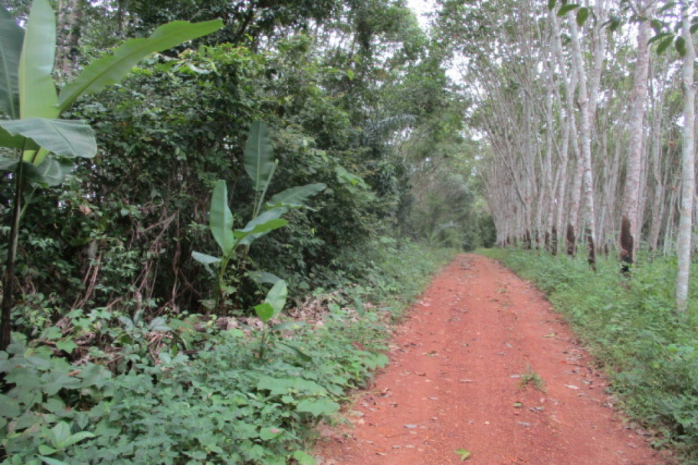 Residential land/lot Surat Thani Khiri Rat Nikhom Nam Hak 25100000
