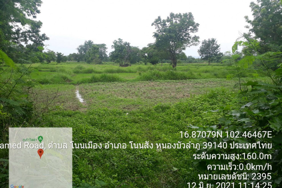 ที่ดินเปล่า หนองบัวลำภู โนนสัง โนนเมือง 299000