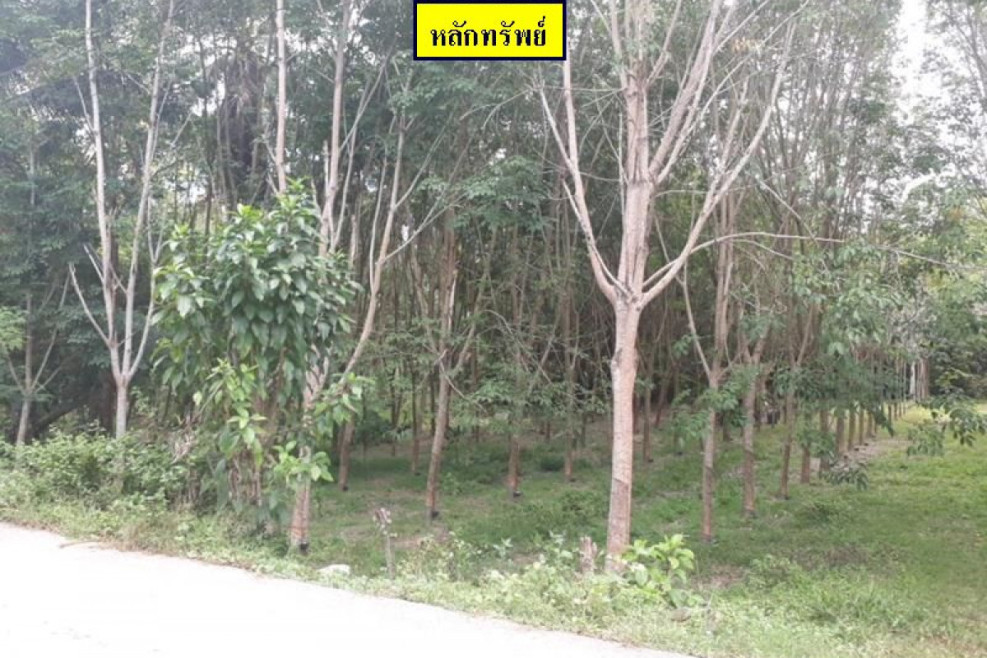 Residential land/lot Songkhla Thepha Thepha 456000