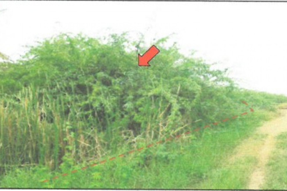 Residential land/lot Phetchaburi Tha Yang Puek Tian 2350000