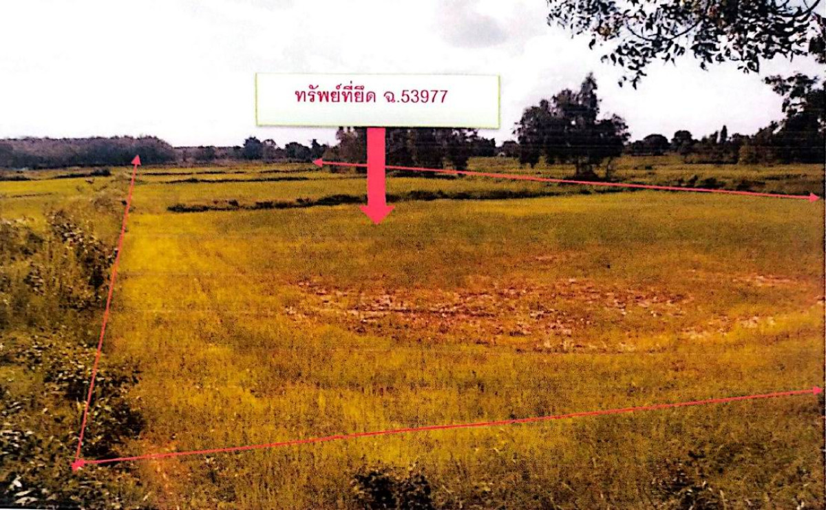 ที่ดินเปล่า บุรีรัมย์ สตึก ร่อนทอง 360000