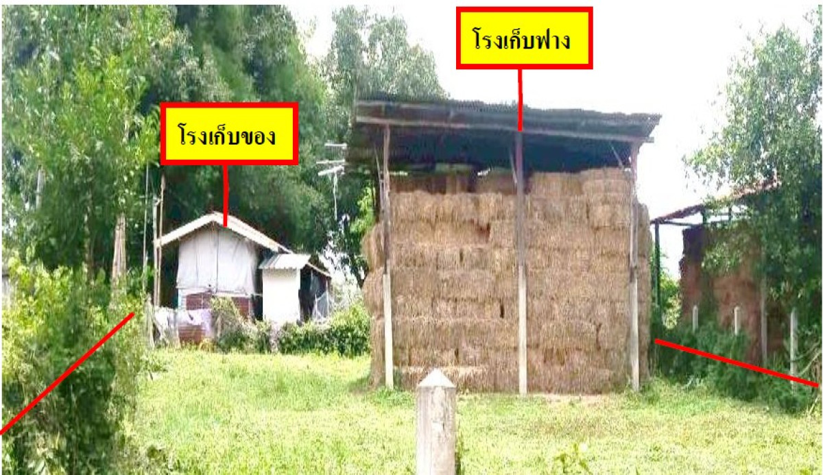 บ้านเดี่ยว ยโสธร ค้อวัง ฟ้าห่วน 148900