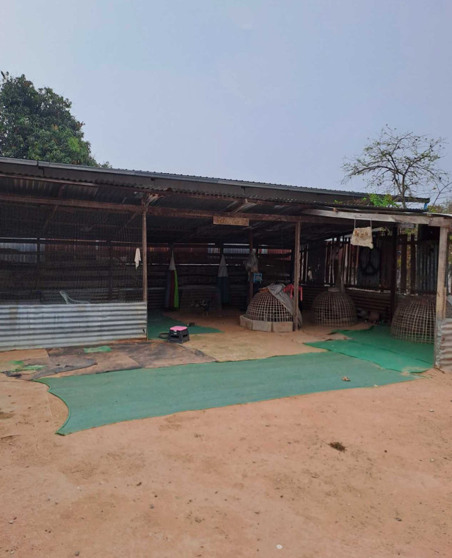 Single house Maha Sarakham Kosum Phisai Hua Khwang 175560