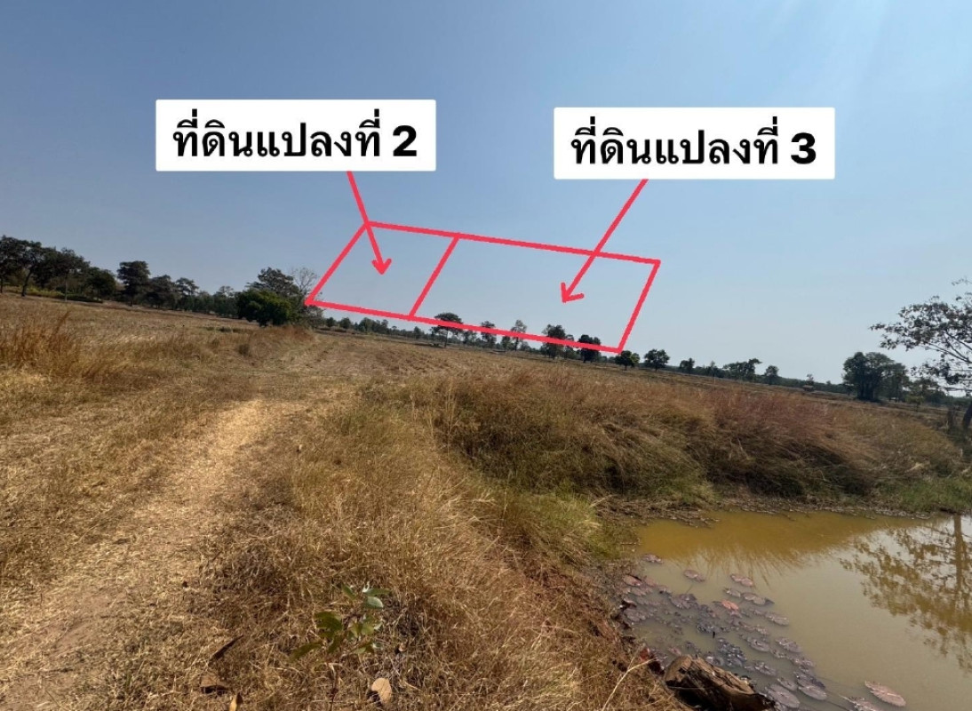 ที่ดินเปล่า มหาสารคาม พยัคฆภูมิพิสัย หนองบัว 200000