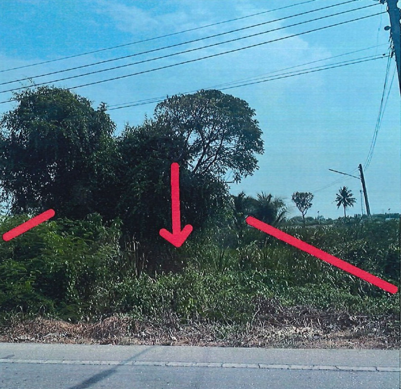 Residential land/lot Nakhon Pathom Kamphaeng Saen Huai Khwang 263700