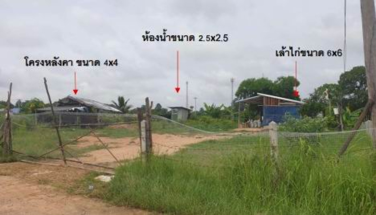 Single house Kalasin Na Khu Bo Kaeo 395125