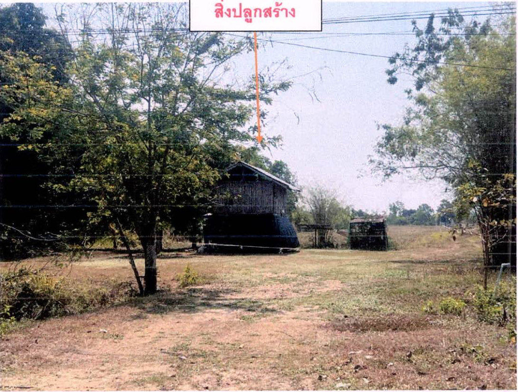 Single house Si Sa Ket Khukhan Nong Chalong 1092827