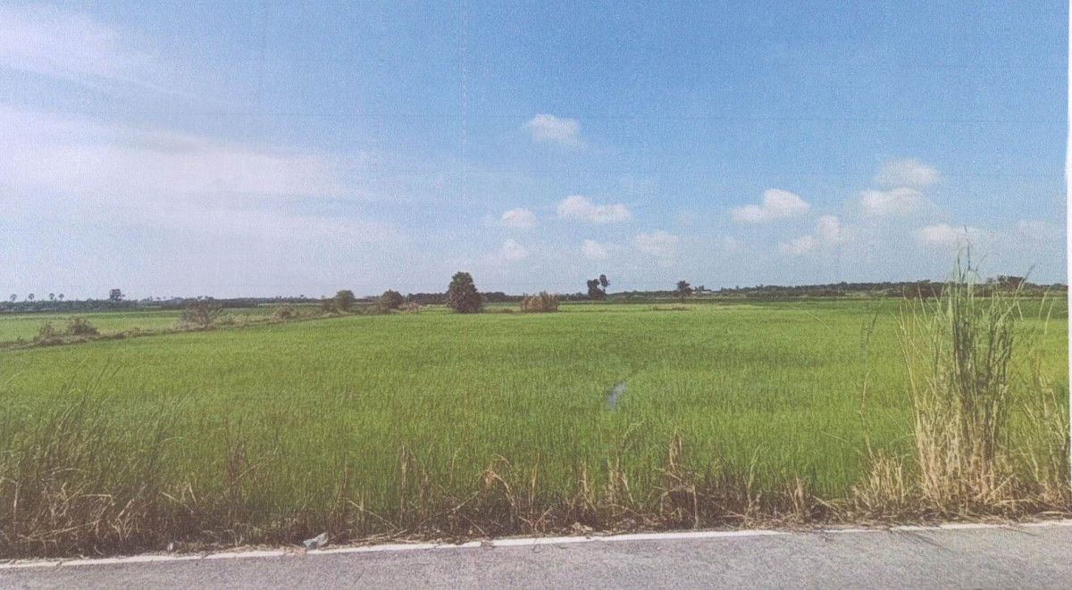 ที่ดินเปล่า สงขลา ระโนด บ้านใหม่ 258150