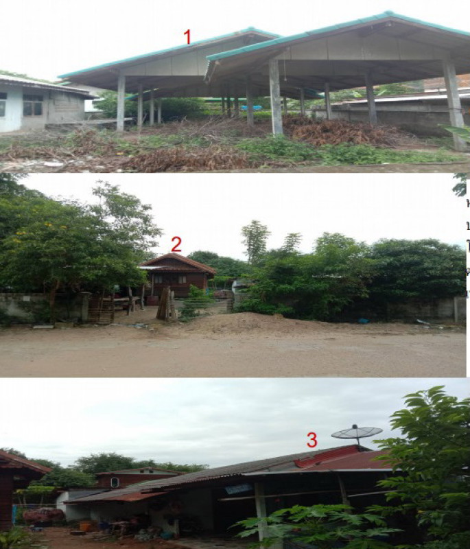 Single house Kalasin Nong Kung Si Nong Kung Si 486000