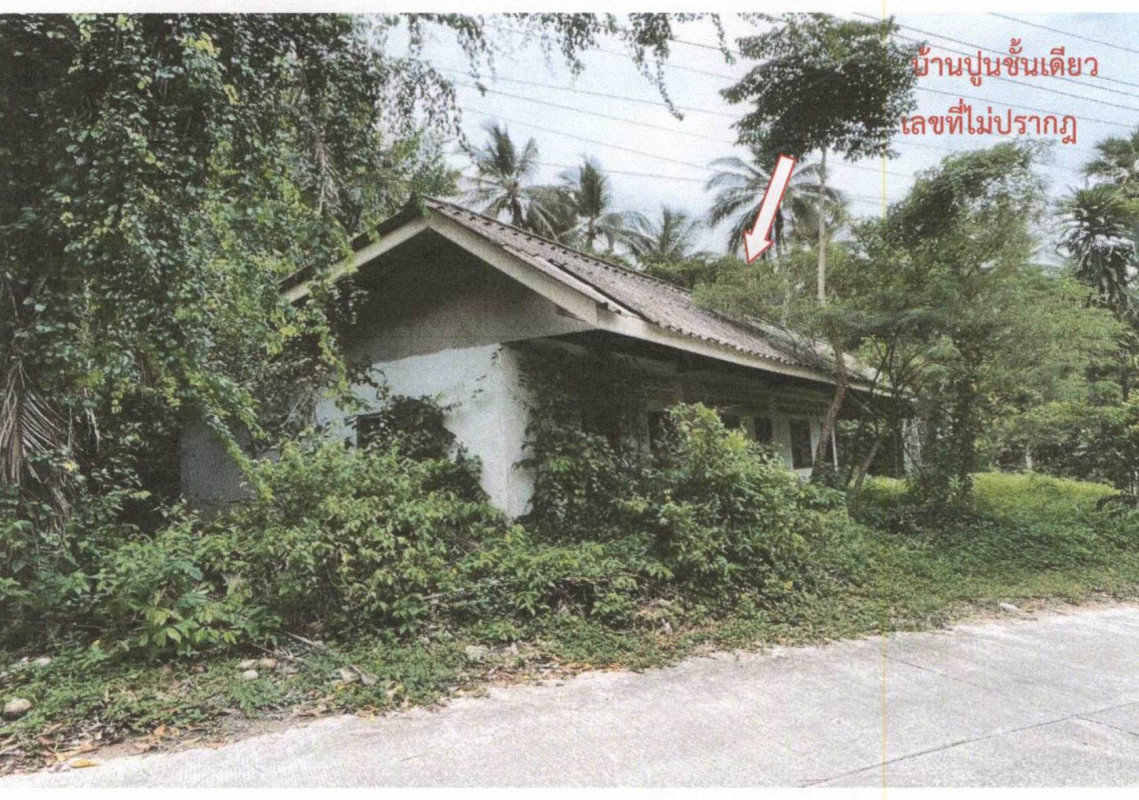 บ้านเดี่ยว สุราษฎร์ธานี เกาะสมุย อ่างทอง 863000