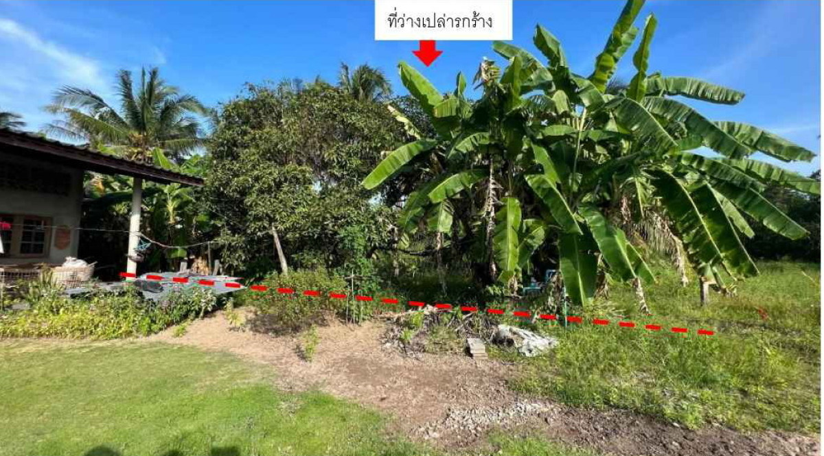 ที่ดินเปล่า ประจวบคีรีขันธ์ ปราณบุรี หนองตาแต้ม 372450