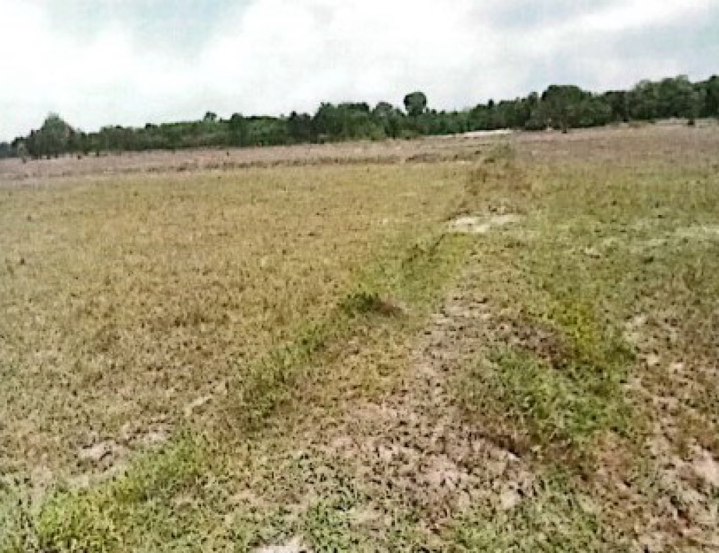 ที่ดินเปล่า นครพนม นาหว้า เหล่าพัฒนา 394350