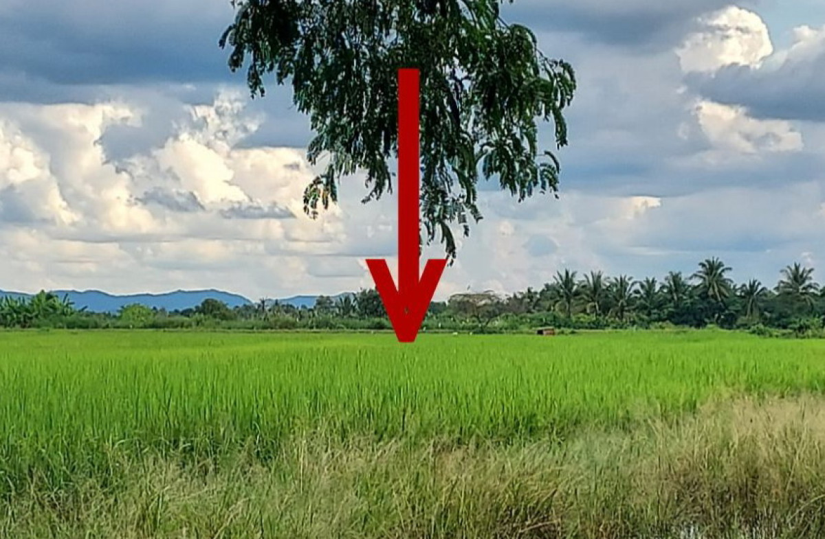 ที่ดินเปล่า ตาก สามเงา สามเงา 153480