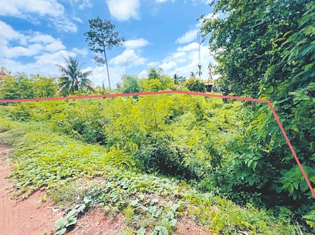 ที่ดินเปล่า สุโขทัย เมืองสุโขทัย ยางซ้าย 48750
