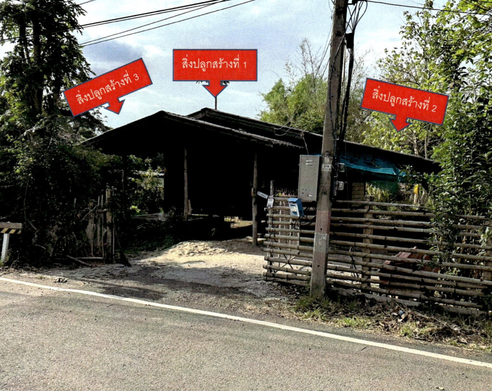 บ้านเดี่ยว ลำพูน เมืองลำพูน ป่าสัก 259035