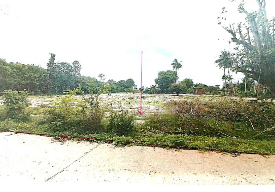 ที่ดินเปล่า สุรินทร์ รัตนบุรี หนองบัวบาน 166530