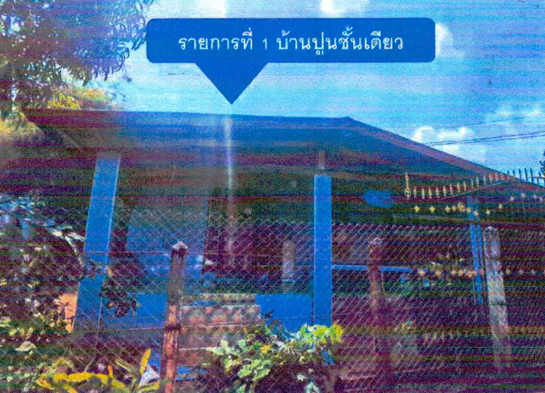 บ้านเดี่ยว เลย นาด้วง นาดอกคำ 485110