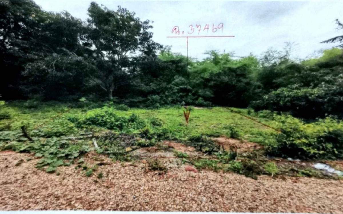 ที่ดินเปล่า ราชบุรี ปากท่อ ทุ่งหลวง 104000
