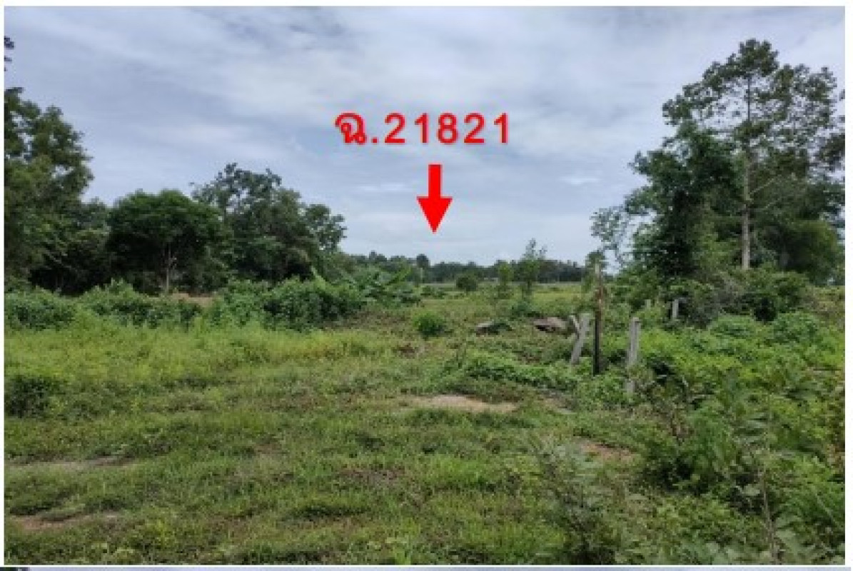 ที่ดินเปล่า อุบลราชธานี เดชอุดม เมืองเดช 1282600