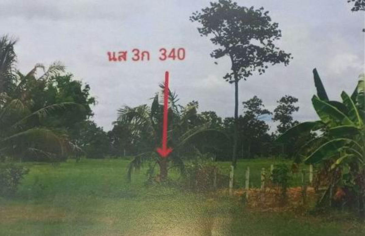 ที่ดินเปล่า อุบลราชธานี บุณฑริก บ้านแมด 145275