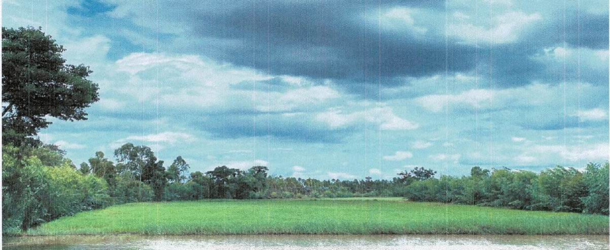 ที่ดินเปล่า บุรีรัมย์ แคนดง ดงพลอง 638976