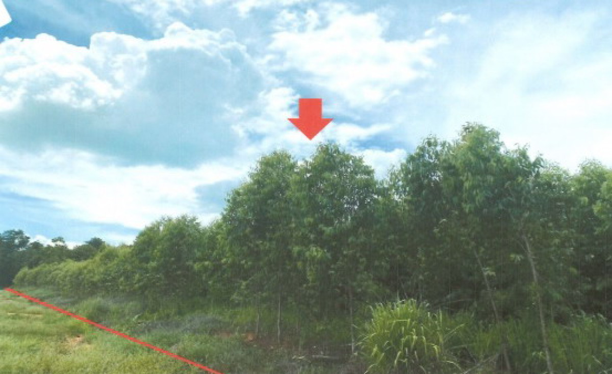 ที่ดินเปล่า กาฬสินธุ์ สหัสขันธ์ โนนแหลมทอง 315000