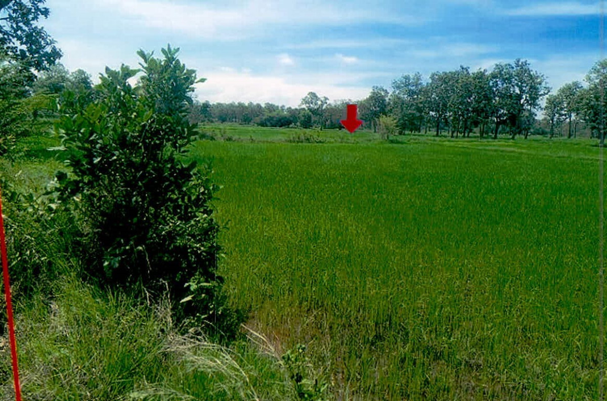 ที่ดินเปล่า ศรีสะเกษ กันทรารมย์ ละทาย 150192