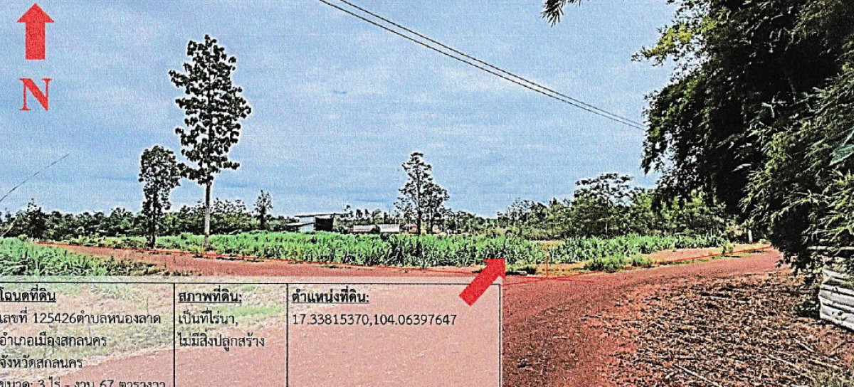 ที่ดินเปล่า สกลนคร เมืองสกลนคร หนองลาด 253400