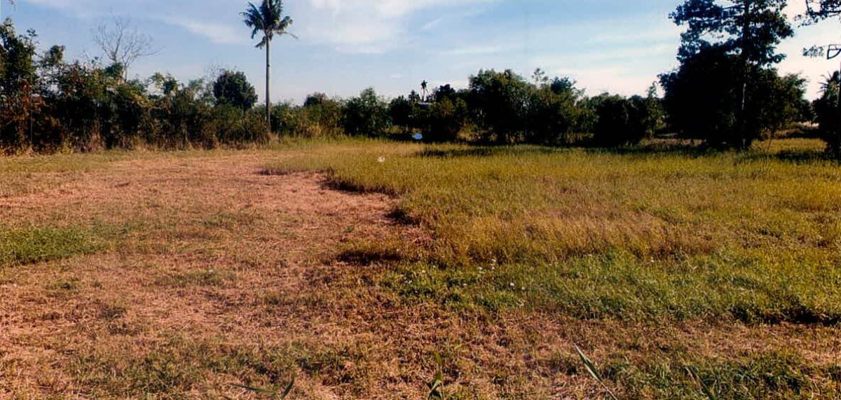 ที่ดินเปล่า ชัยภูมิ บ้านเขว้า ลุ่มลำชี 74000